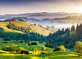 华德福德主场被利物浦虐,降级形势雪上加霜