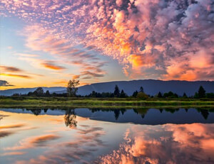 铿锵玫瑰,绽放喀布尔:阿富汗女足的潜力与荣光