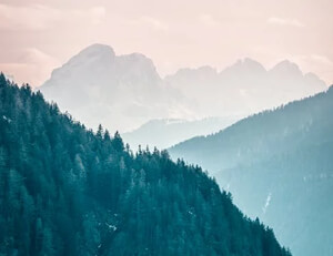 梦幻航程！广州恒大再次亚冠强晋级